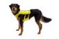 Preview: Ruffwear Trail Runner Running Vest Lichen Green Gr. L/XL